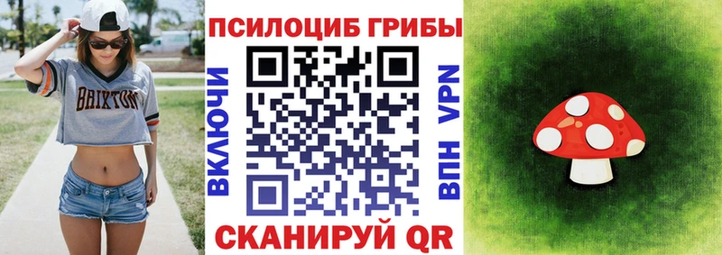 Псилоцибиновые грибы Magic Shrooms  площадка наркотические препараты  Шадринск 