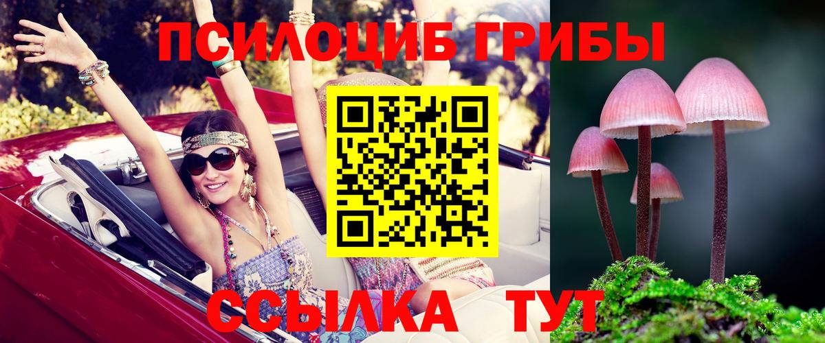 Шадринск  Псилоцибиновые грибы Magic Shrooms  что такое наркотик  Псилоцибиновые грибы мухоморы  Вход с VPN 