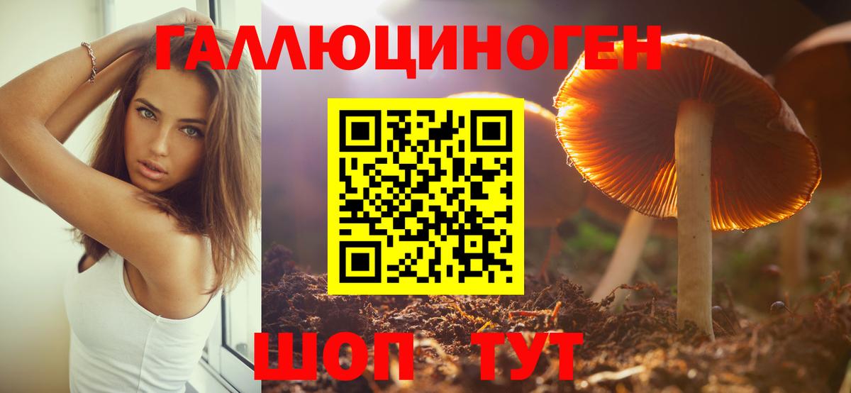 Шадринск  даркнет сайт  Галлюциногенные грибы Psilocybe  Вход с VPN  Псилоцибиновые грибы GOLDEN TEACHER 