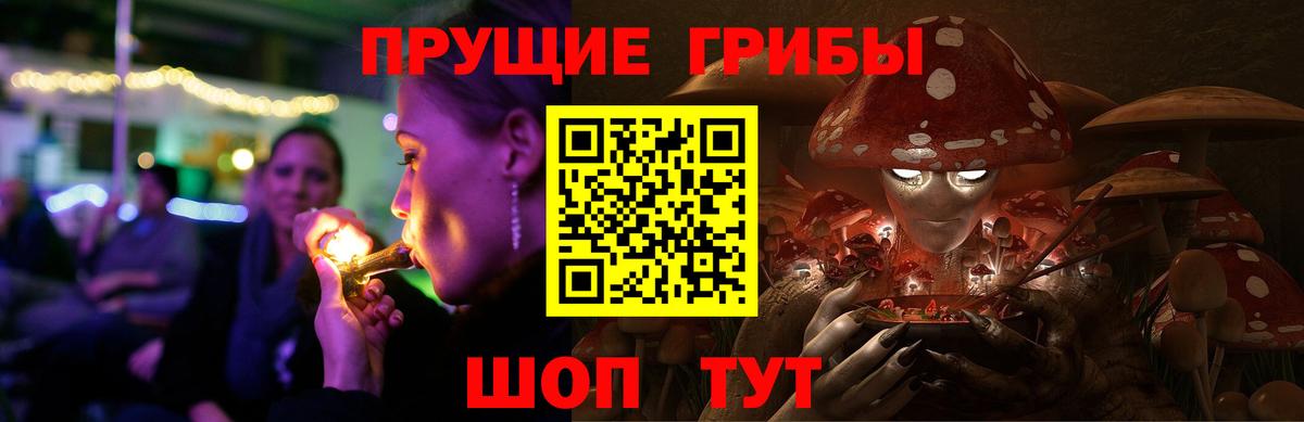 Псилоцибиновые грибы мицелий  Псилоцибиновые грибы Cubensis  Шадринск 